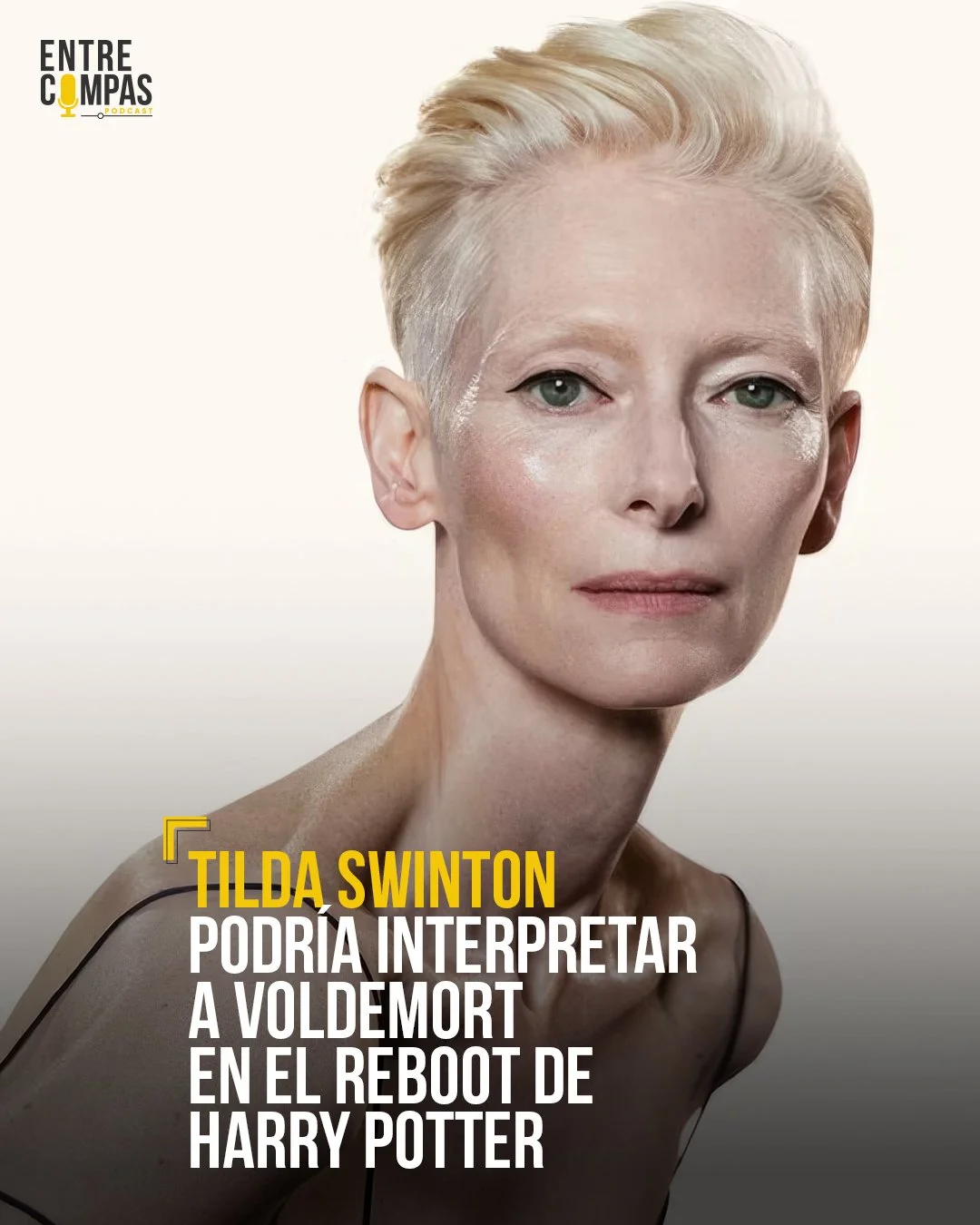 Conocida por sus personajes al l&iacute;mite (como en Doctor Strange o We Need to Talk About Kevin), Swinton aporta ese halo inquietante perfecto para un villano redefinido. &iquest;Te imaginas una Lady Voldemort dominando el universo m&aacute;gico? 