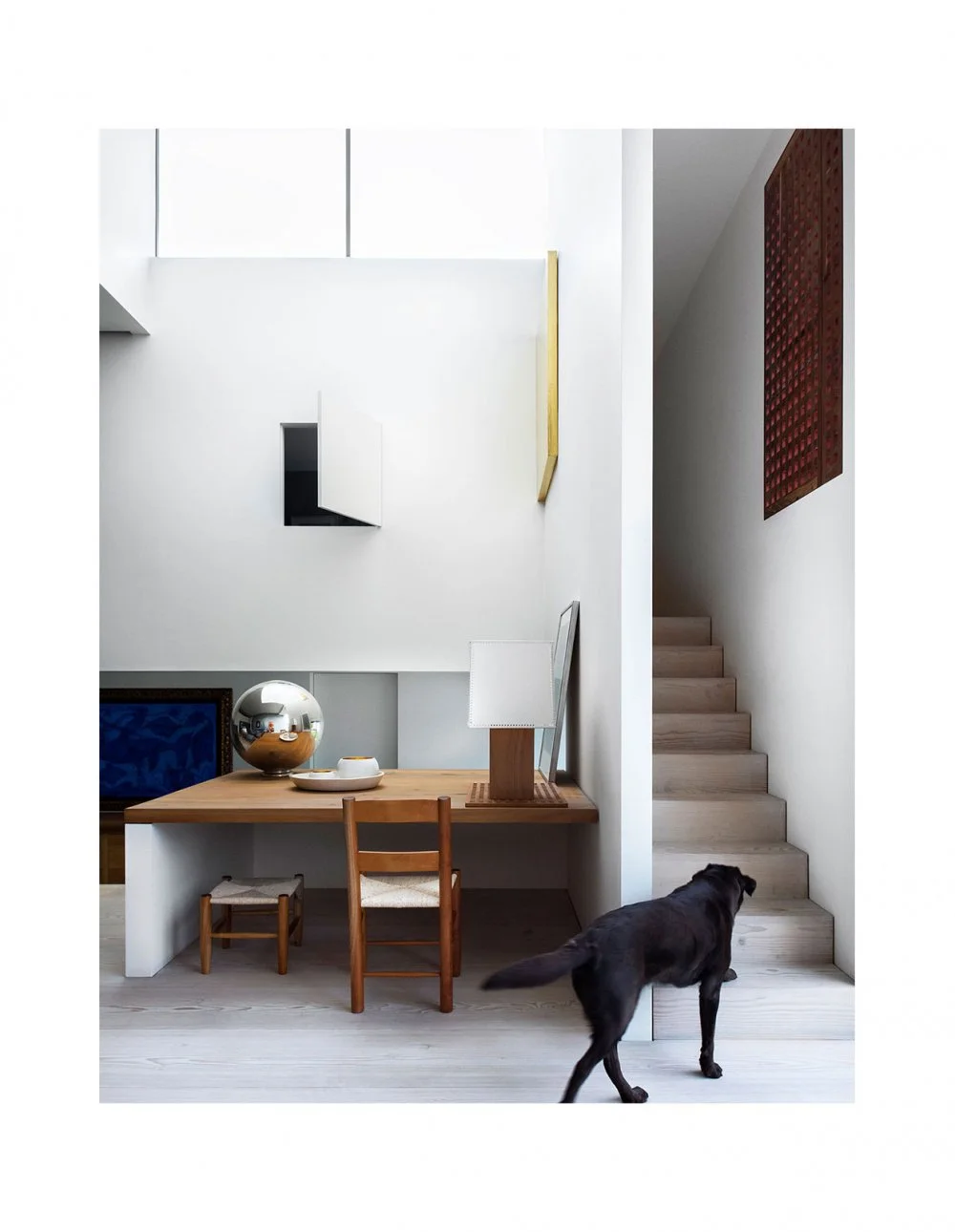 resident-dog-tdf-13-1000x1290.jpg