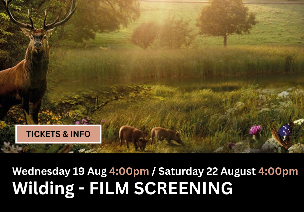 Copy of Tathra Website Images for 'what's on' section(1).png