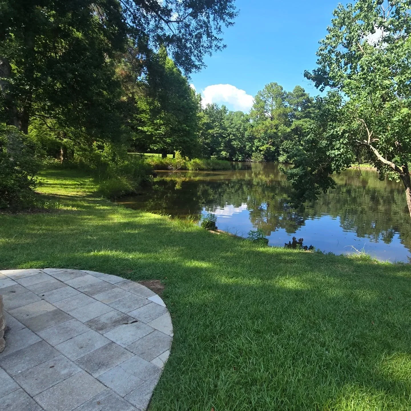 🍃☀️🤍⛅️🌸🌼

#weddingvenue #mobilealabama
#semmesalabama #mobilealabamaweddingvenue #pond #nature #blueheronpond #blueheronpondvenue