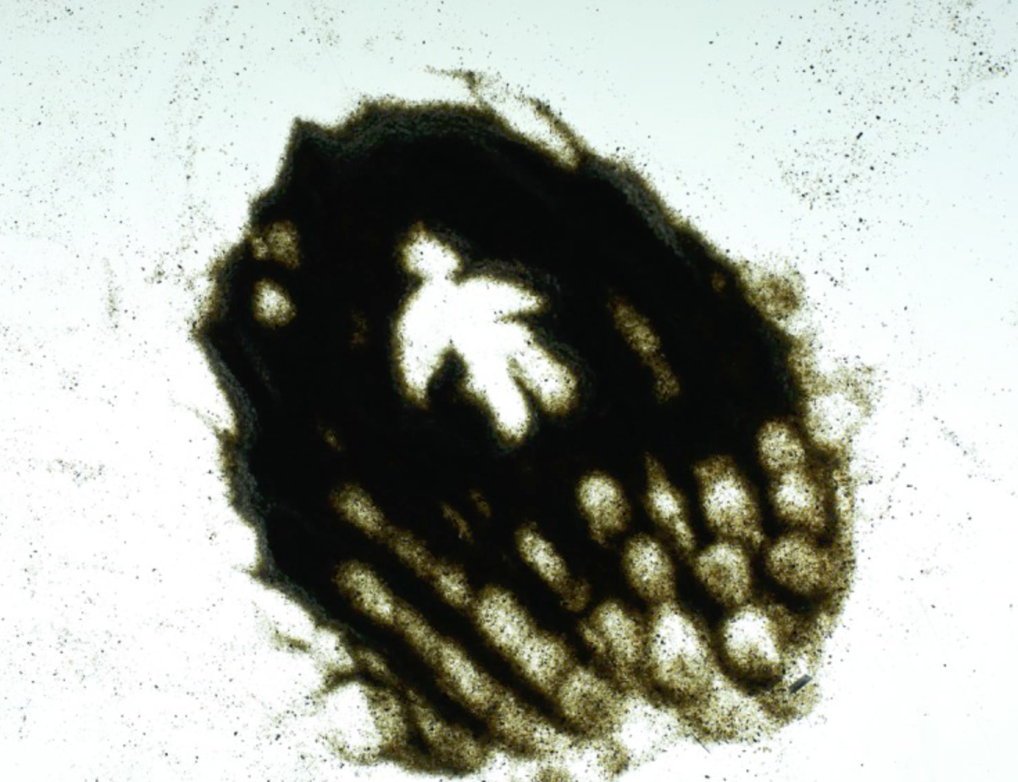 Screenshot 2026-01-12 at 9.45.41 PM.png