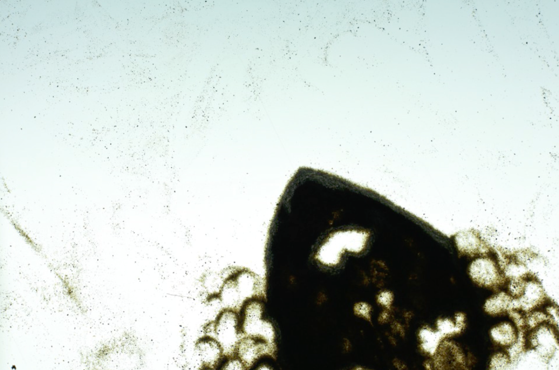 Paint on Glass - Sand Woman