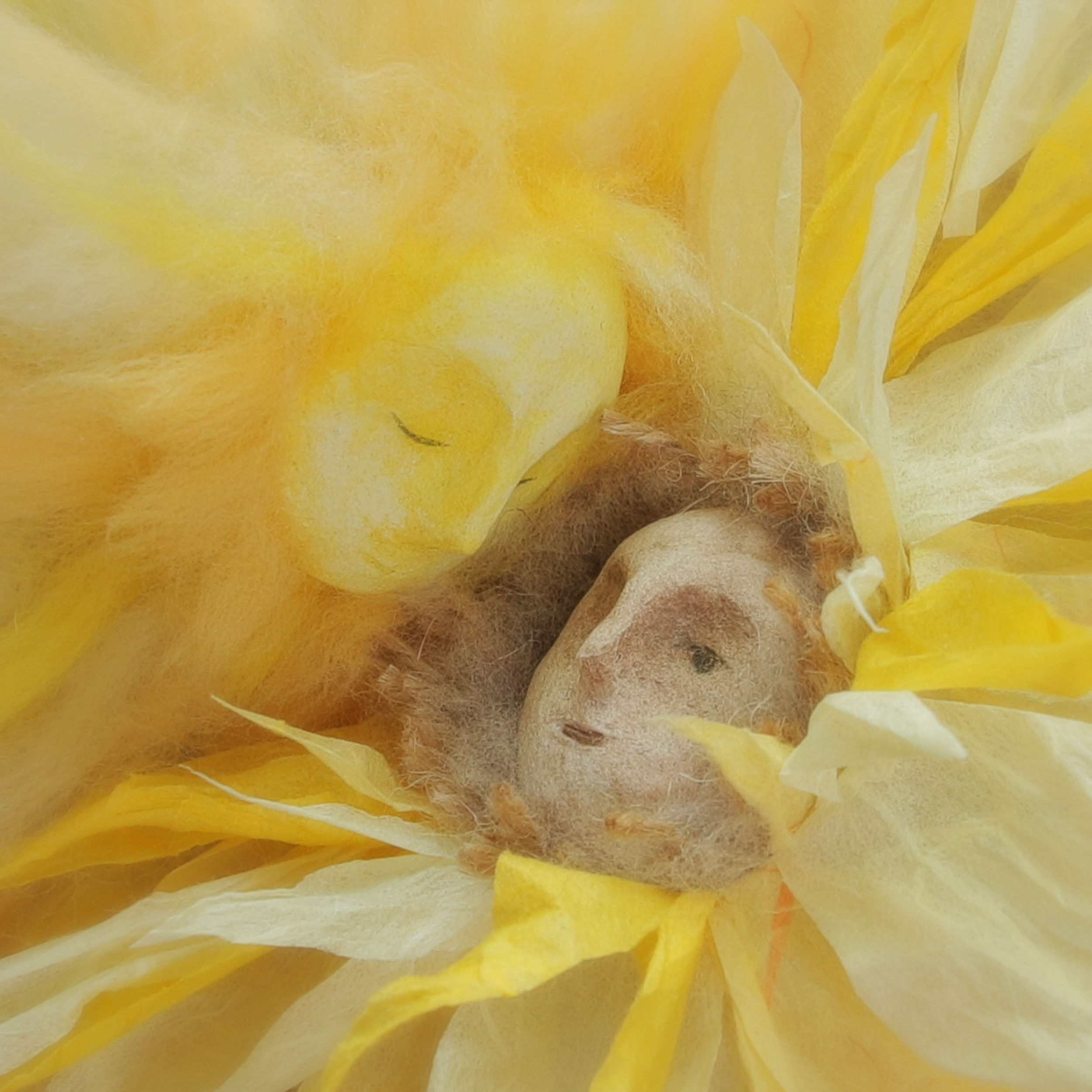 Goodmorning Pancake [Sunflower] album cover

- Hanji, clay, felt, 2025