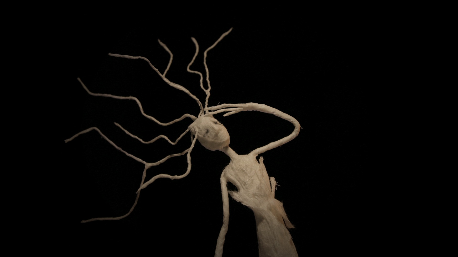 Every tree has a soul