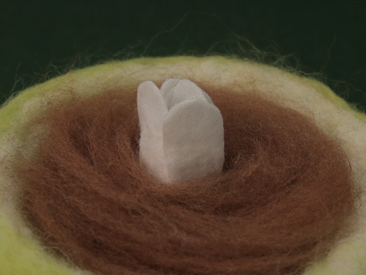 Feiry2 - Green Apple Tranquility