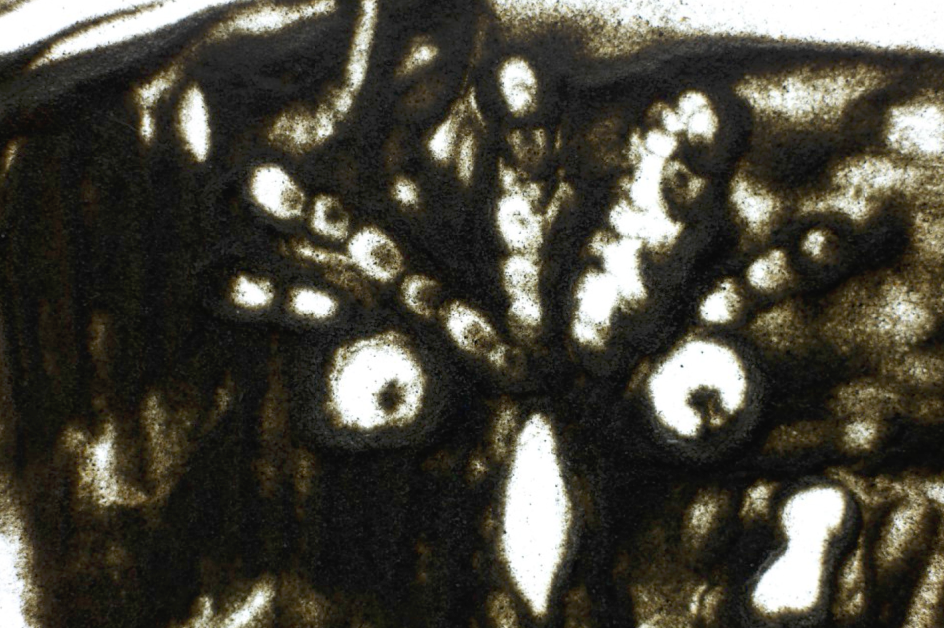 Screenshot 2026-01-12 at 9.46.03 PM.png