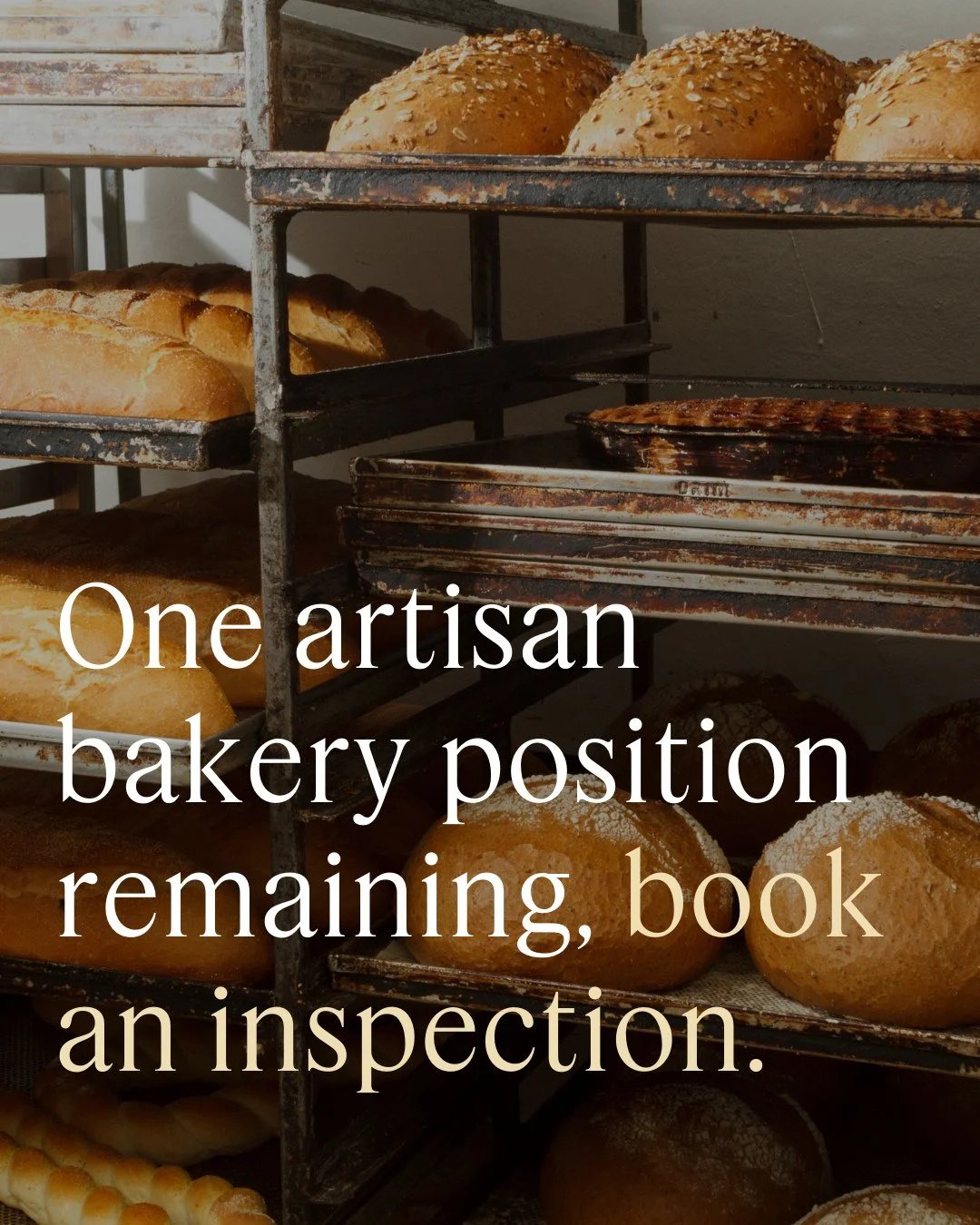 Join HARVEST at Central BLVD. A fresh food destination bringing together premium, complementary food operators.⁠
⁠
Enquire now to inspect this leasing opportunity in Caroline Springs. Contact: centralblvd.com.au or call 0422 025 526.