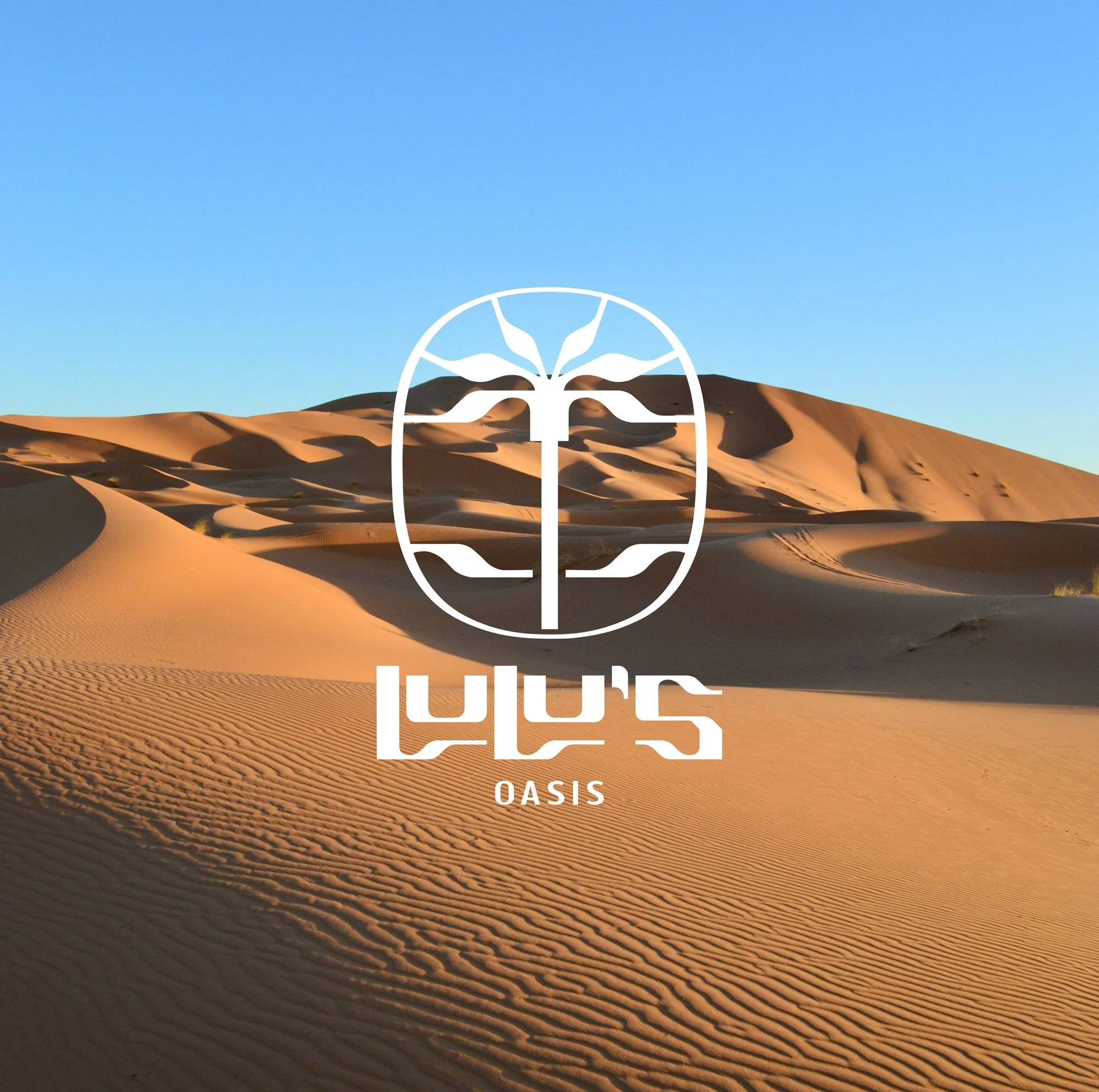 Lulu's Oasis Has Landed