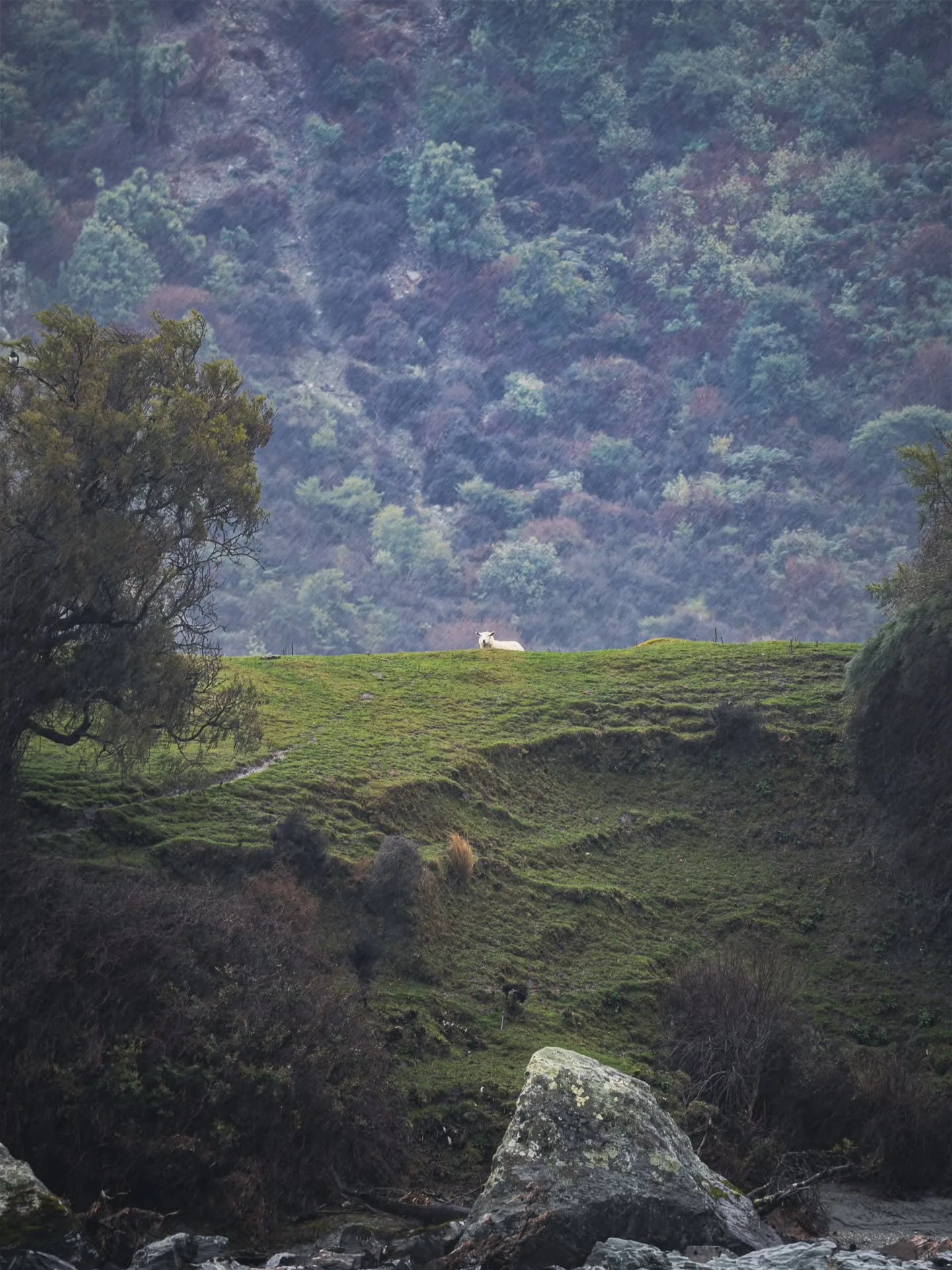 Been a minute. Pic from NZ.
.
.
.
.
.
.
#nz #newzealand