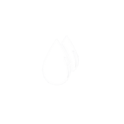 Sprinklers watering a lush green yard 