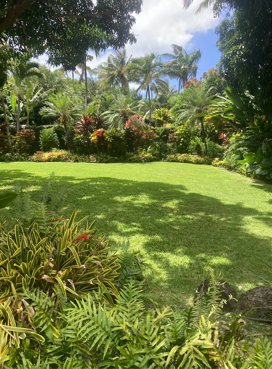 Tropical garden with lush green grass, various palm trees, and dense foliage under partly cloudy sky.