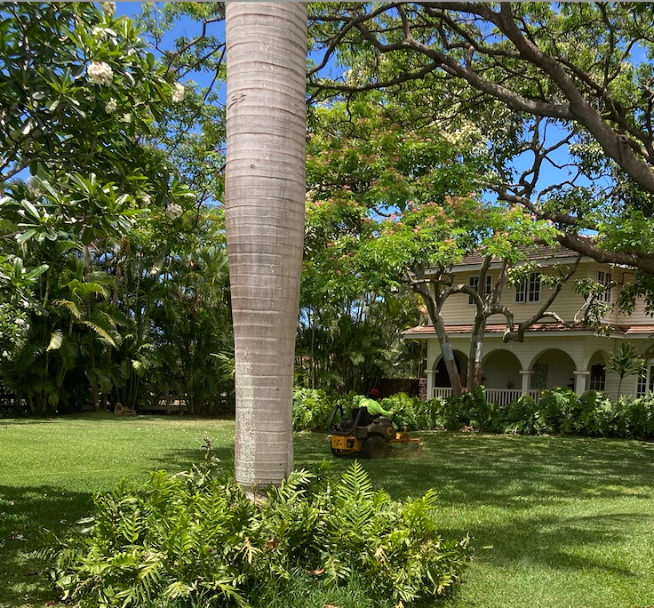 A person cutting grass with a lawnmower on a lush green lawn in front of a large two-story house with a porch, surrounded by trees and shrubs, on a sunny day.
