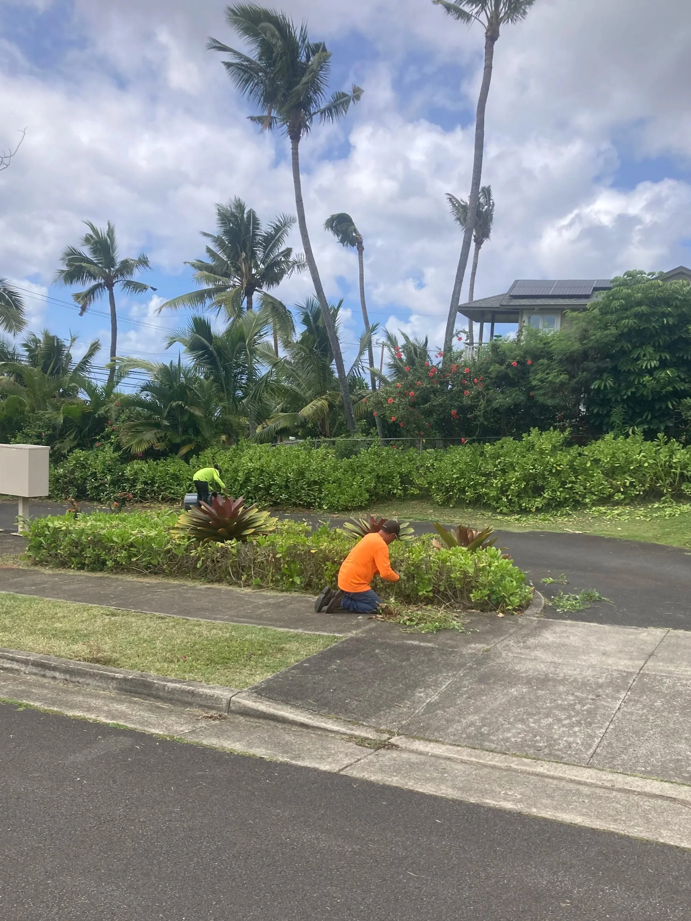Crew doing maintenance in Haleiwa