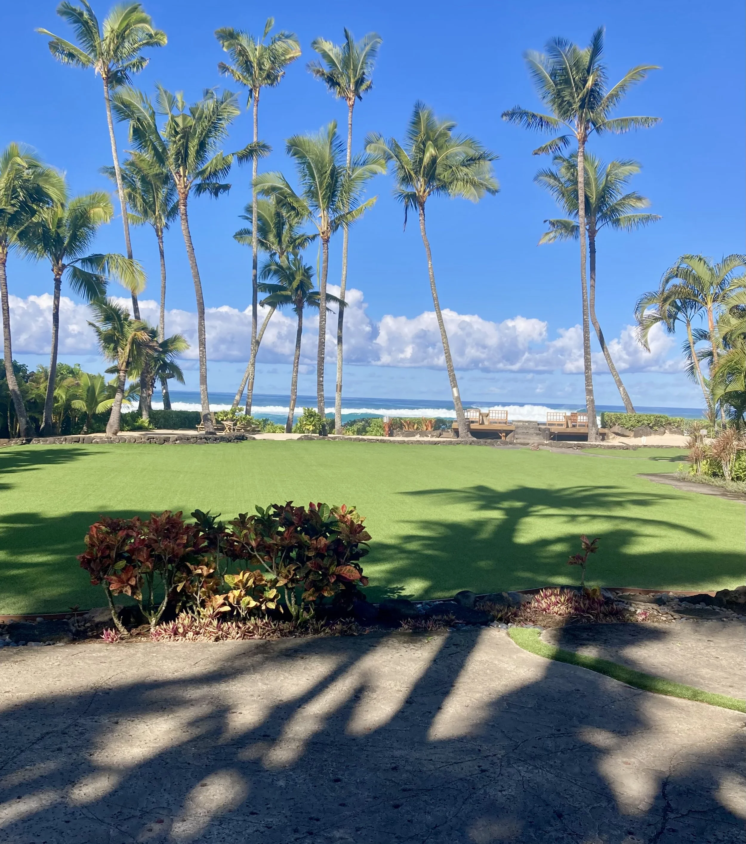 Haleiwa, Hawaii yard maintenance with a beach view