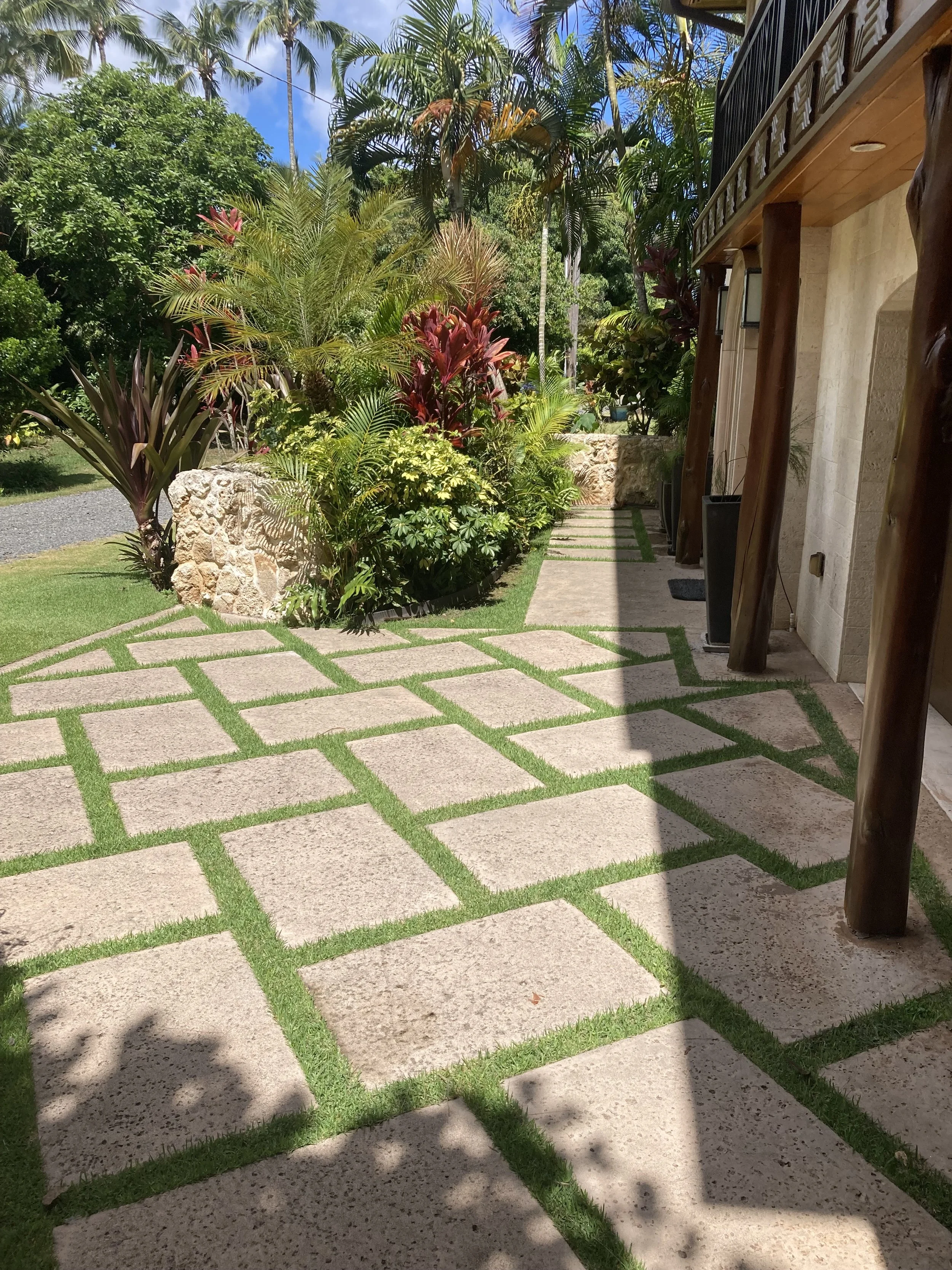 Sunlit stone pathway with grass gaps next to a house, bordered by tropical plants and trees.