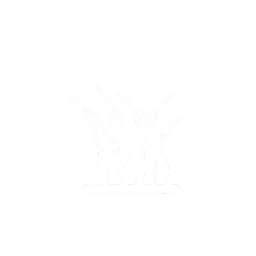 Lush landscaping with plants and foliage