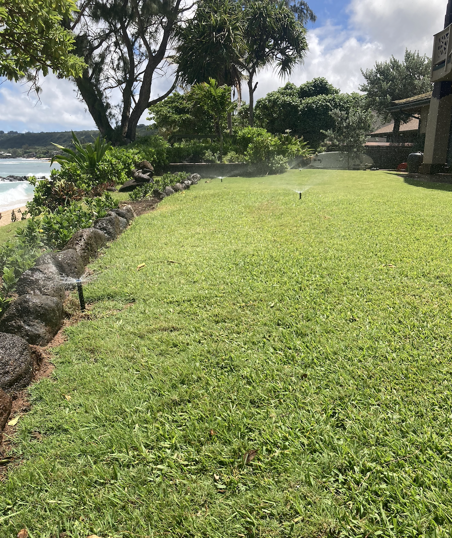 A lush green lawn being watered by sprinklers, with trees and a house in the background, near a coastline.