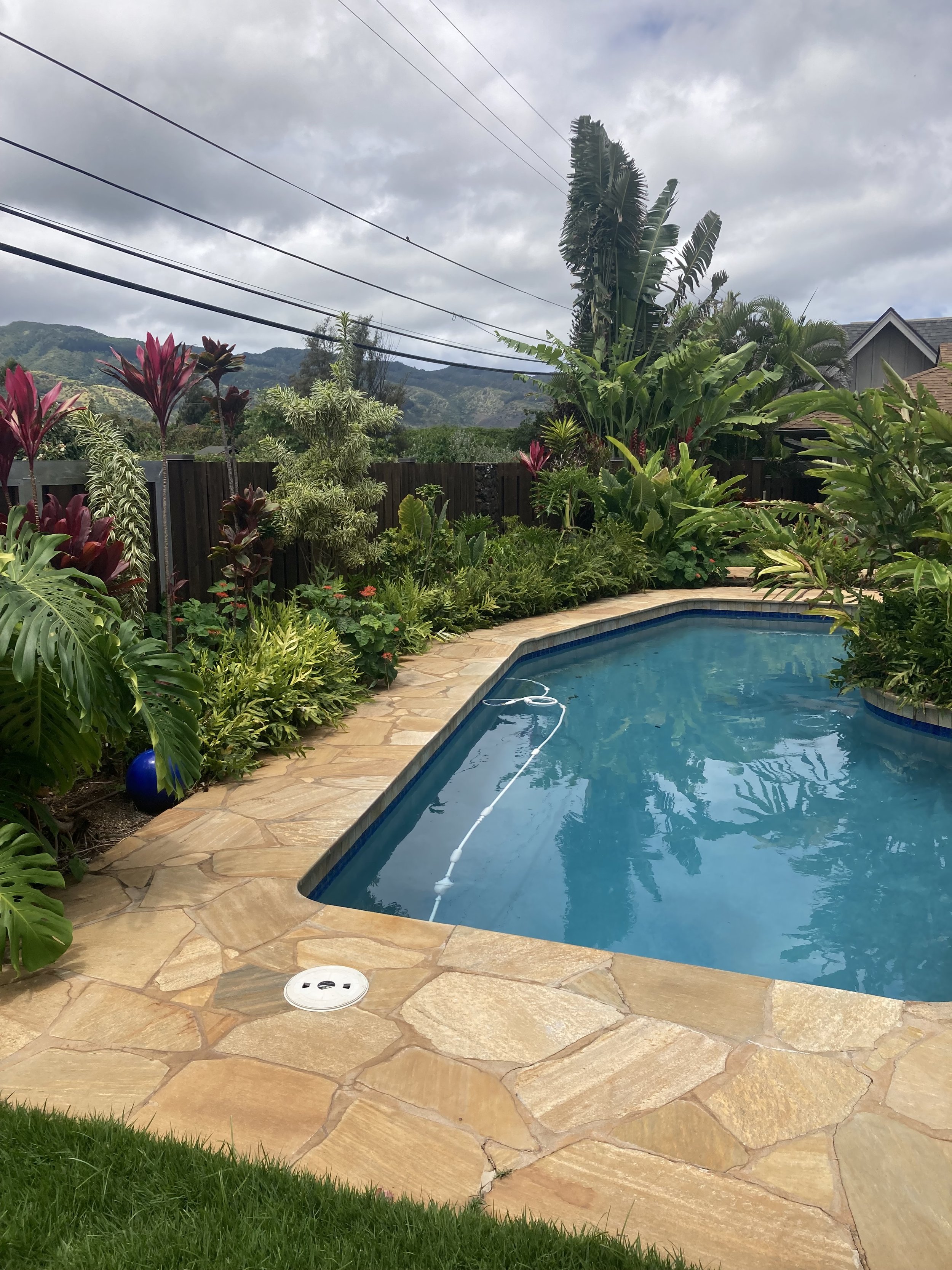 Backyard swimming pool with a stone deck surrounded by lush tropical plants and a wooden fence, mountains in the background, cloudy sky overhead.