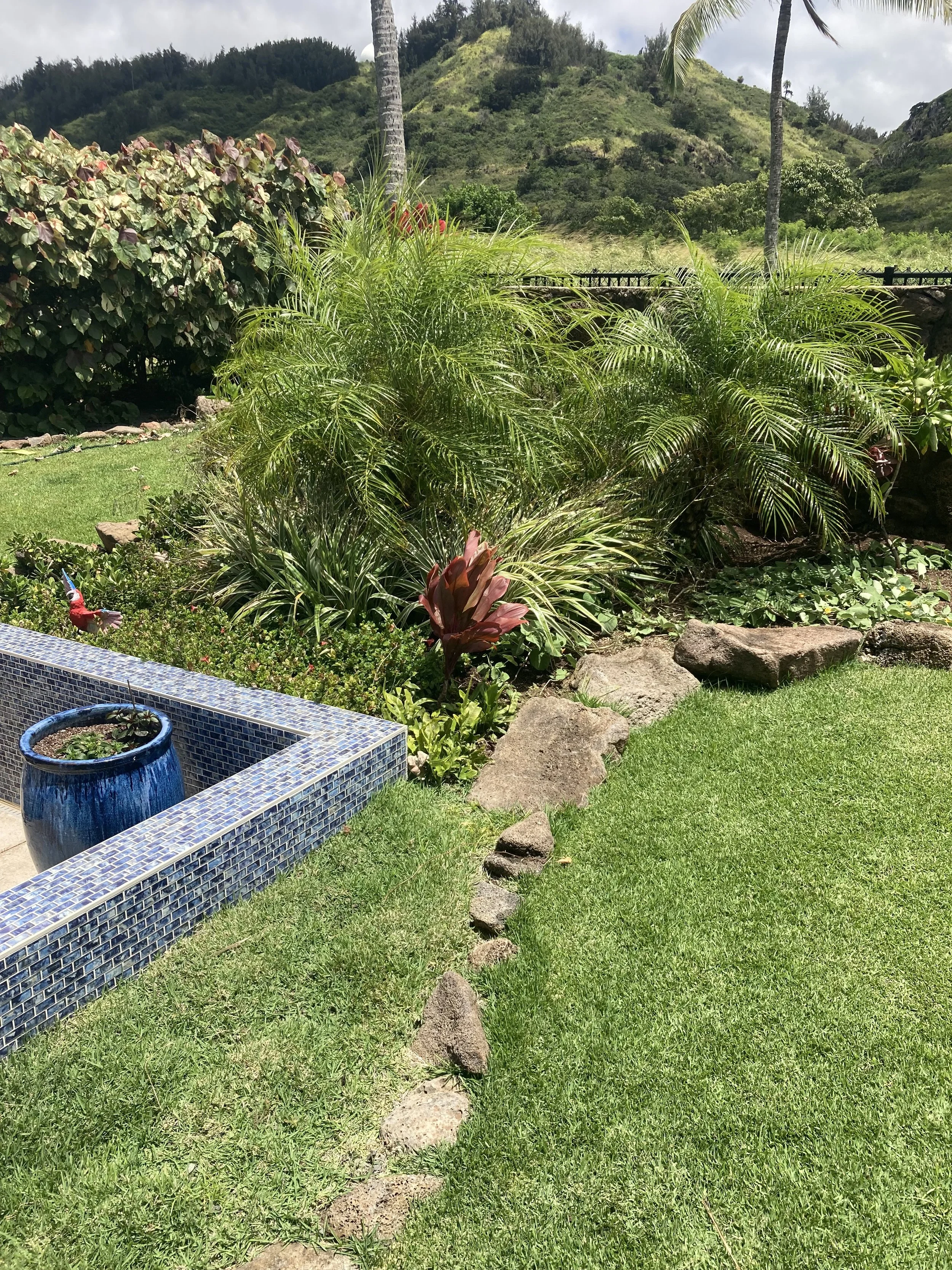 Lush garden with green grass, tropical plants, rocks, a blue tiled border, and a blue ceramic pot on a small fountain or pond. Mountainous terrain and palm trees in the background under partly cloudy sky.