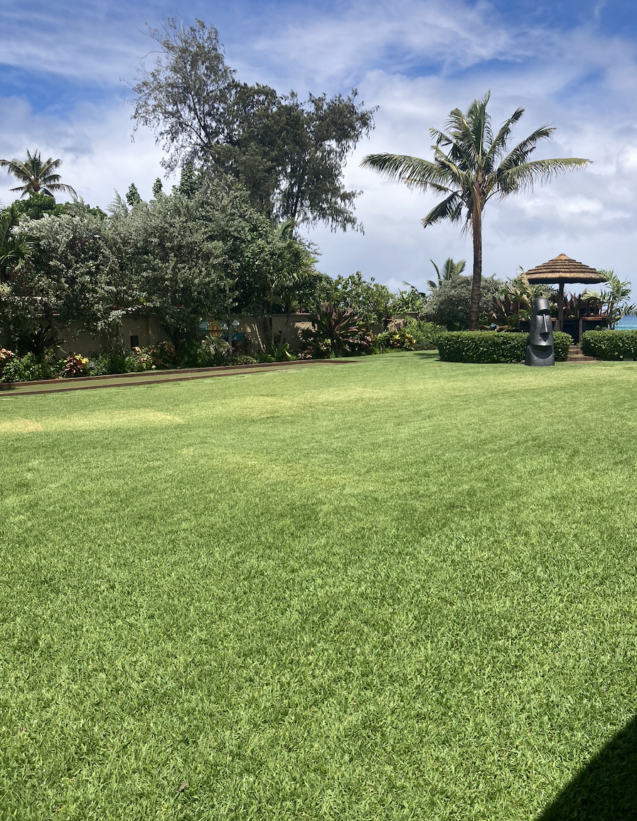 Lush green lawn with tropical trees, including palm trees, and a thatched-roof hut in the background on a sunny day with a partly cloudy sky.