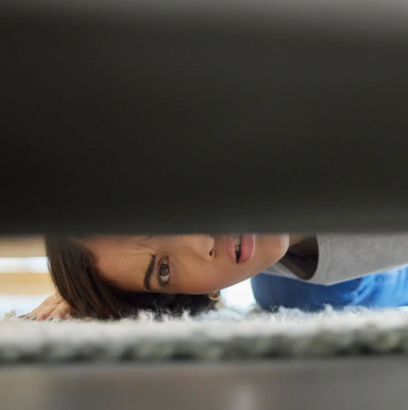 Confessions of a Dust Bunny: Tales from Under Your Couch