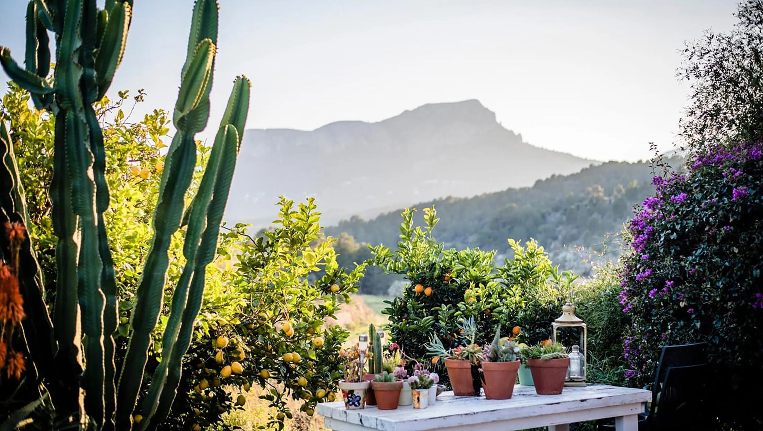 Sunkiss Yoga Retreats in Spain blend yoga and meditation in Spain, sound baths, and Mediterranean meals for a truly soulful escape. Join a Spanish Yoga Retreat or Sound Healing Retreat Spain and experience deep wellness, rest, and connection.