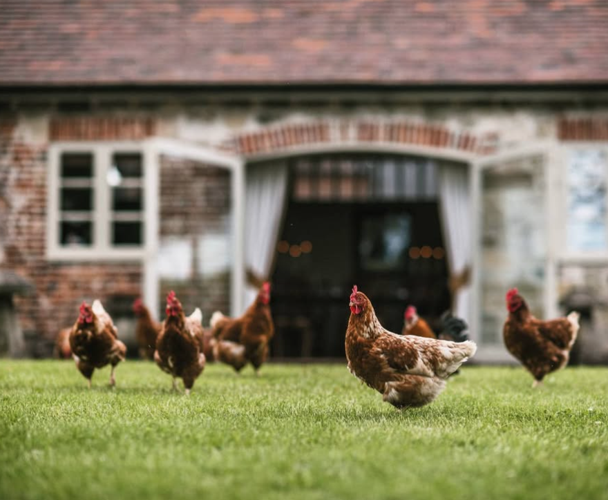 Captura de pantalla 2025-07-14 a las 9.30.47.png