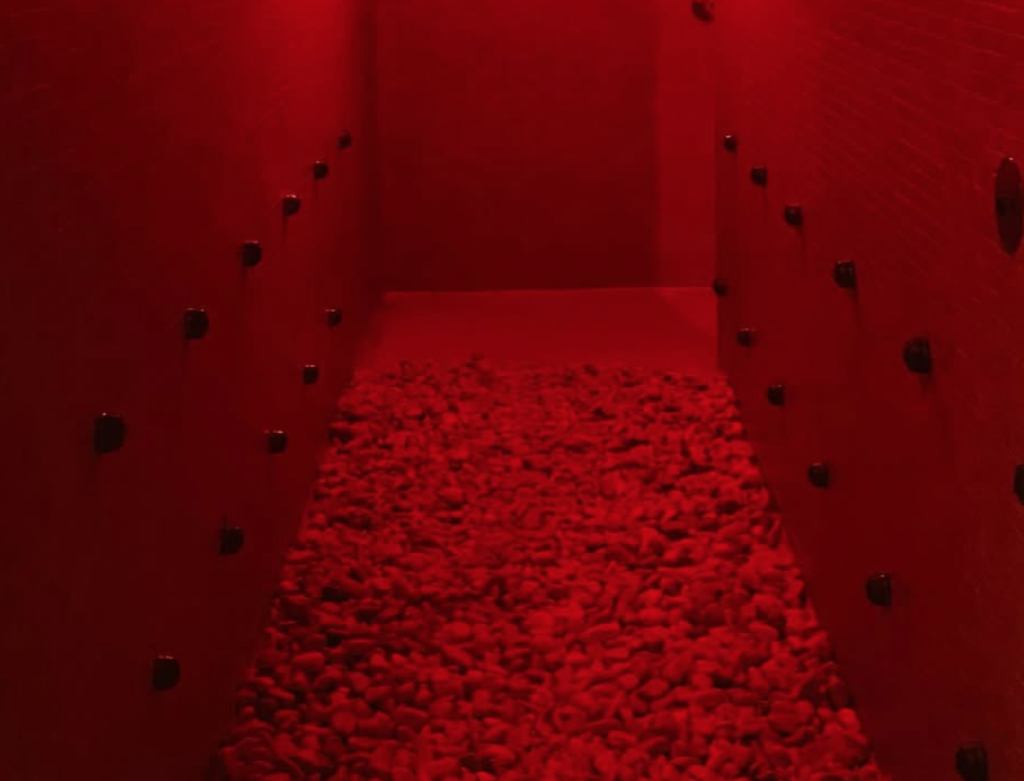 Captura de pantalla 2026-02-21 a las 13.51.37.png