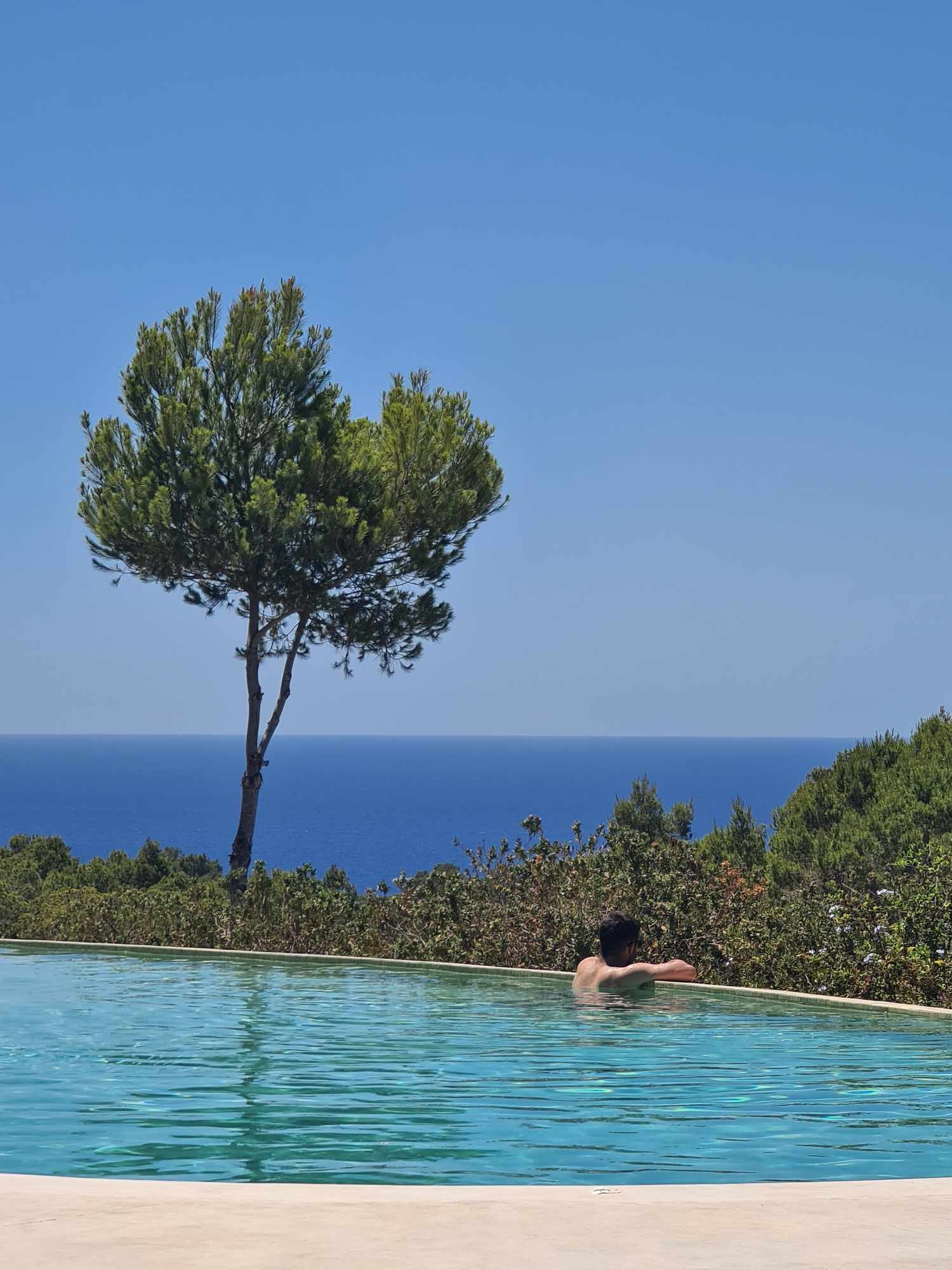 A man relaxing in a swimming pool overlooking the ocean with a single tree and bushes nearby under a clear blue sky.