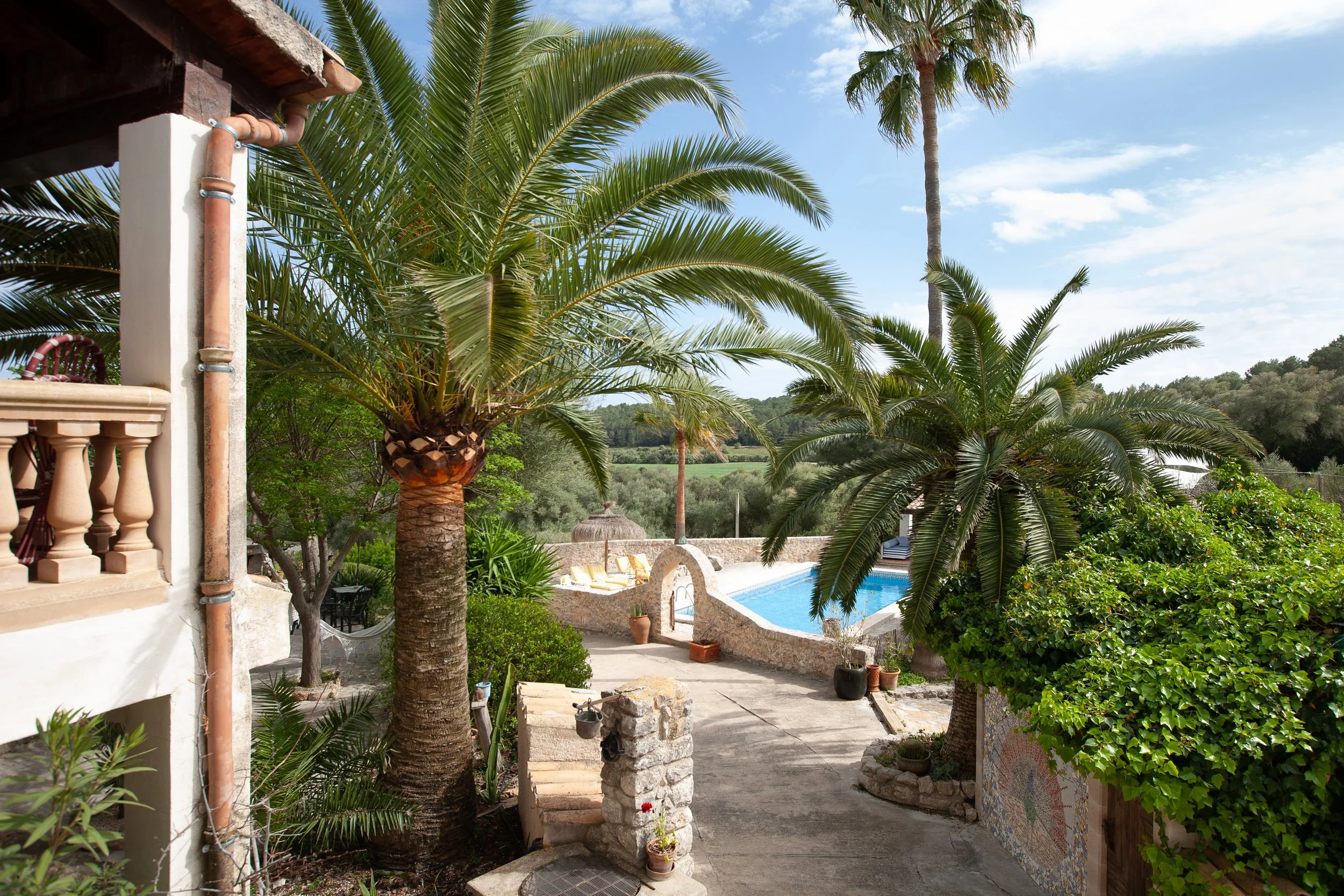 Tropical backyard with palm trees, swimming pool, and garden view under partly cloudy sky.
