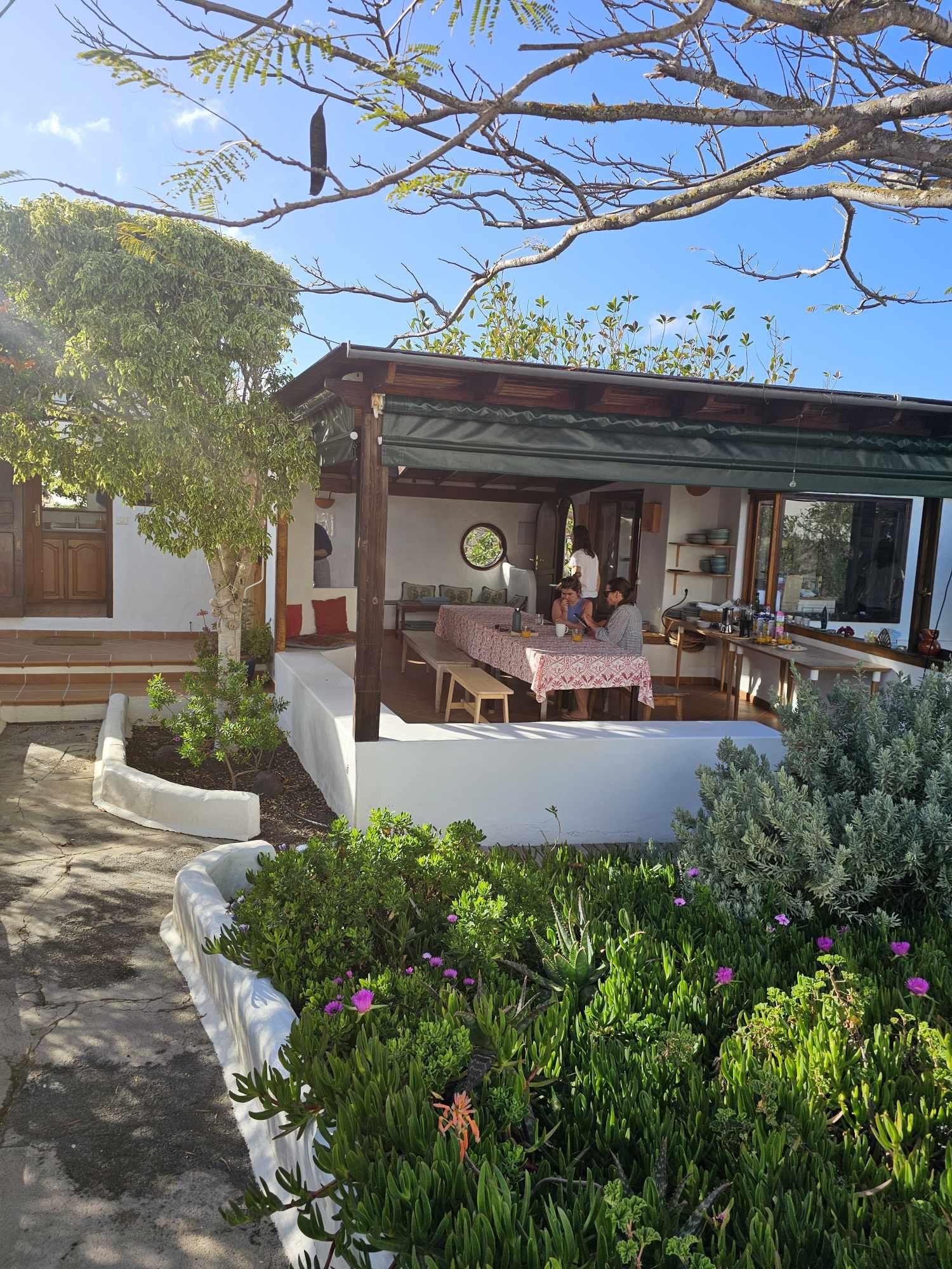 People sitting at a dining table on a covered patio, surrounded by lush green plants and trees, with a clear blue sky overhead.