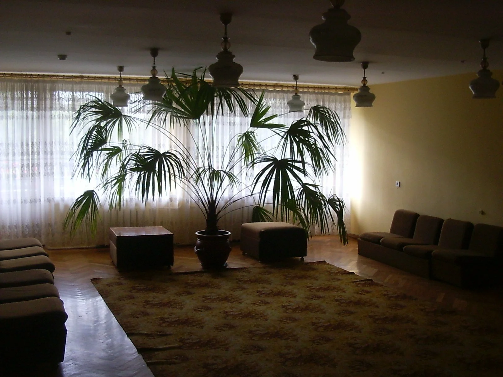 Lviv 2008 Aug 013.jpg