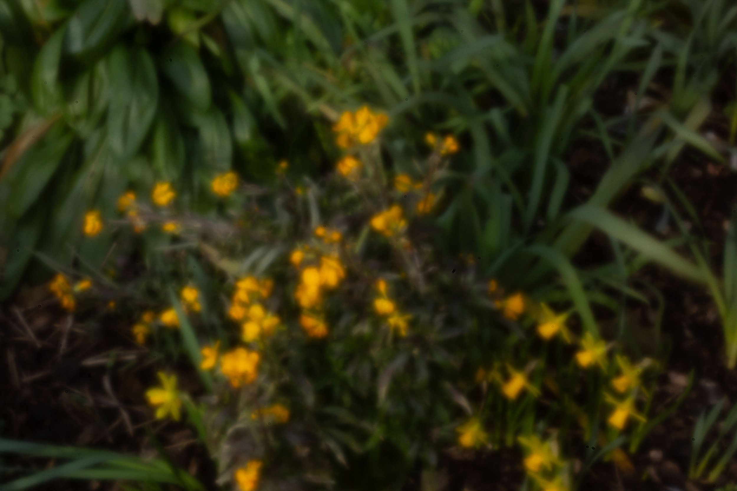 PINHOLE