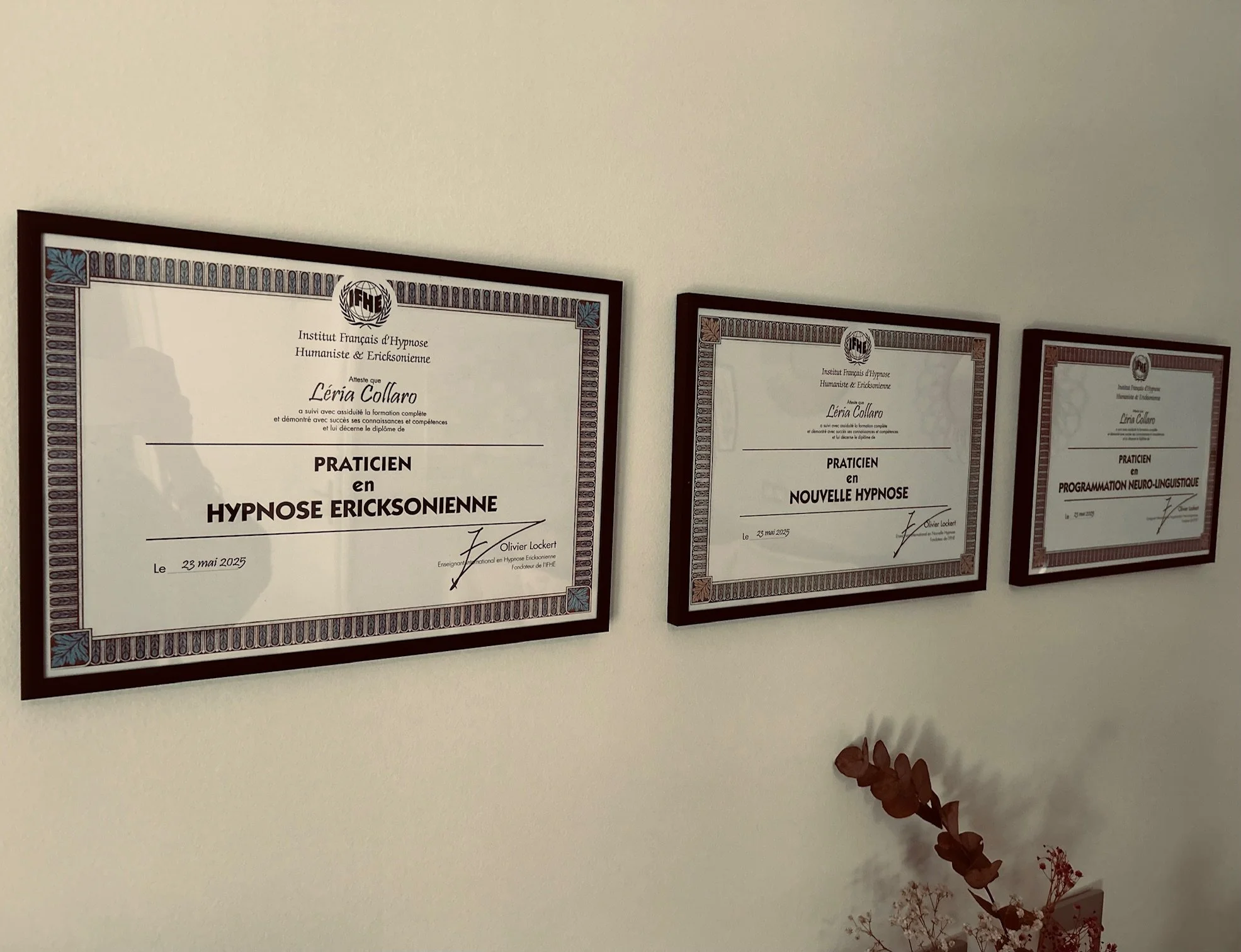 Trois diplômes encadrés accrochés au mur, avec une plante sèche en dessous.
