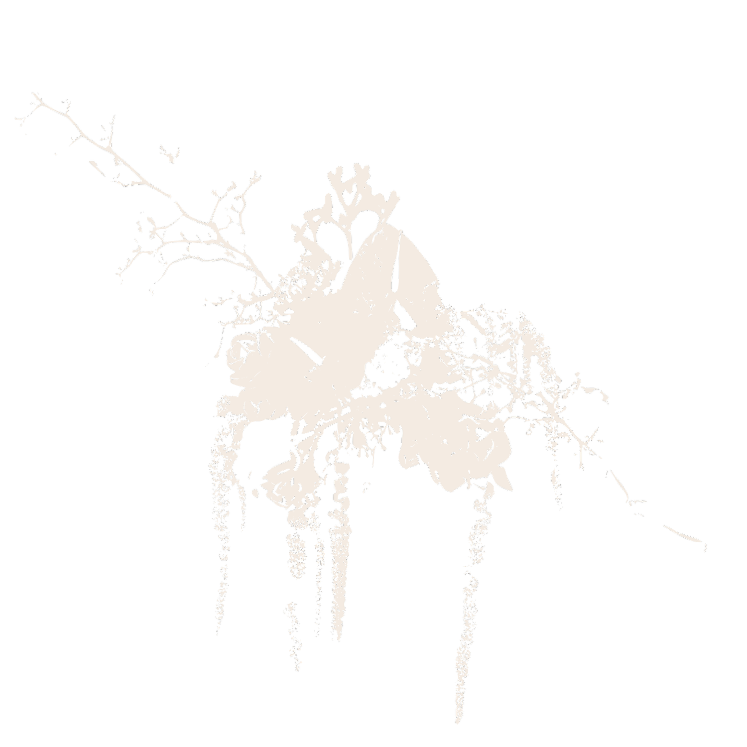 YUMI FLORAL CURATION