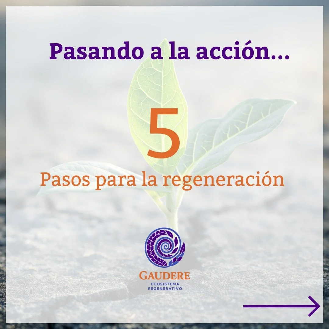 Sin título-1- (español).jpeg