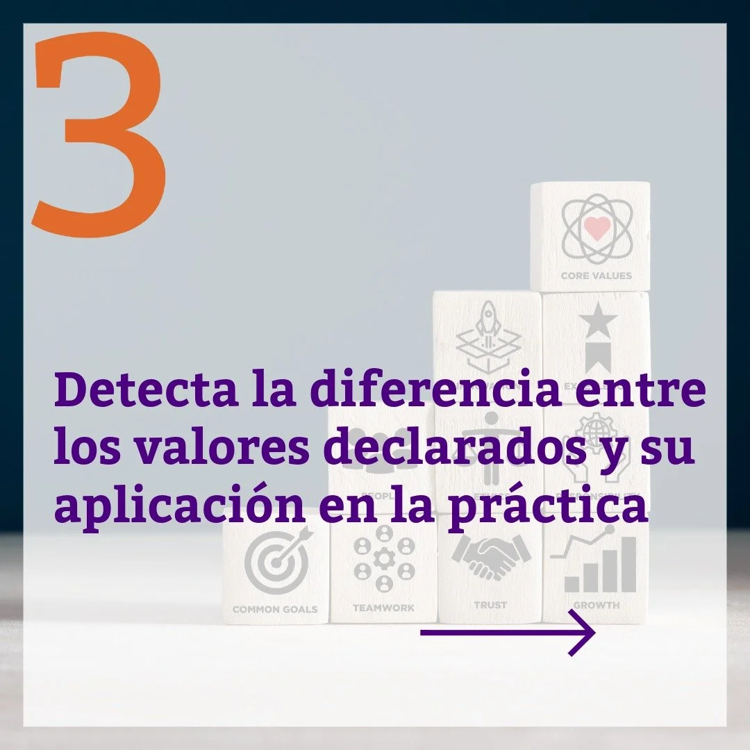 Sin título-4- (español).jpeg