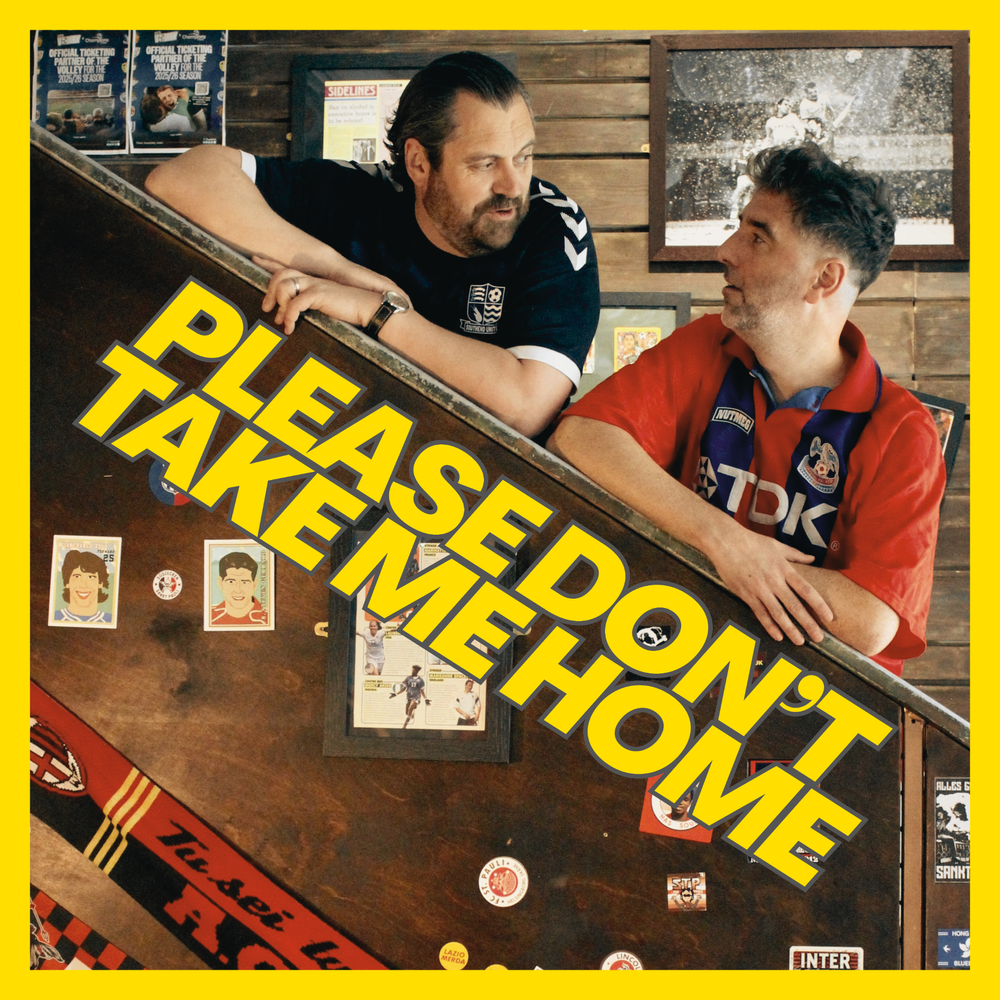 Please Don’t Take Me Home artwork