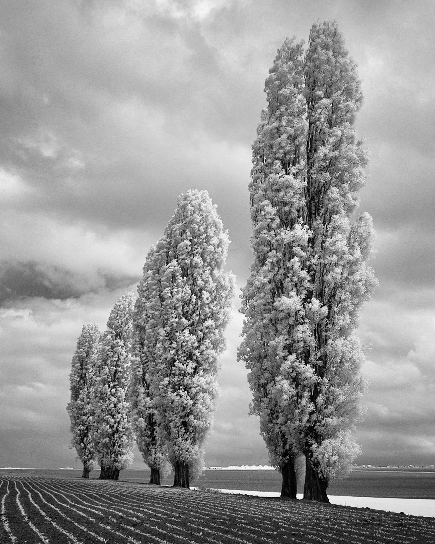 Infrared Wittem__23-05-20_138.jpg
