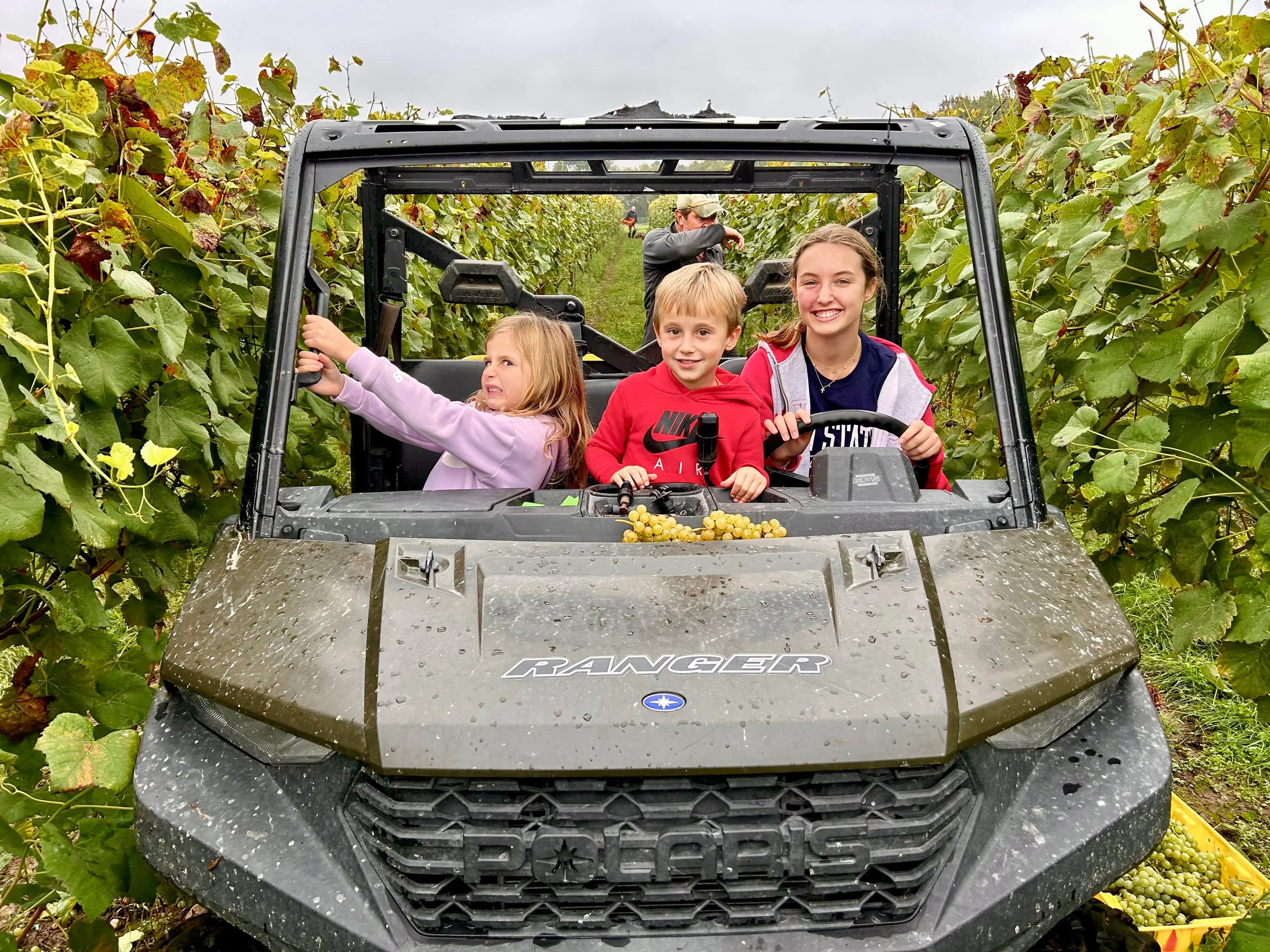 Three children and two adults riding an all-terrain vehicle through a vineyard with grapevines on both sides. The children are smiling, and one girl is gripping the side of the vehicle.