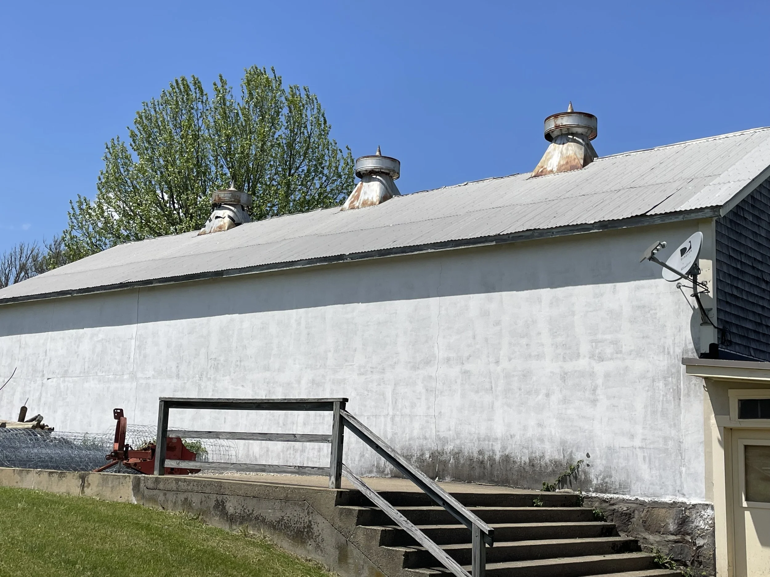The back of a house with a white wall and a set of black metal stairs leading up to a door. The roof has three rusty metal chimney pipes. To the right, there's a satellite dish attached to the wall. In the background, a large leafy green tree and a clear blue sky are visible.