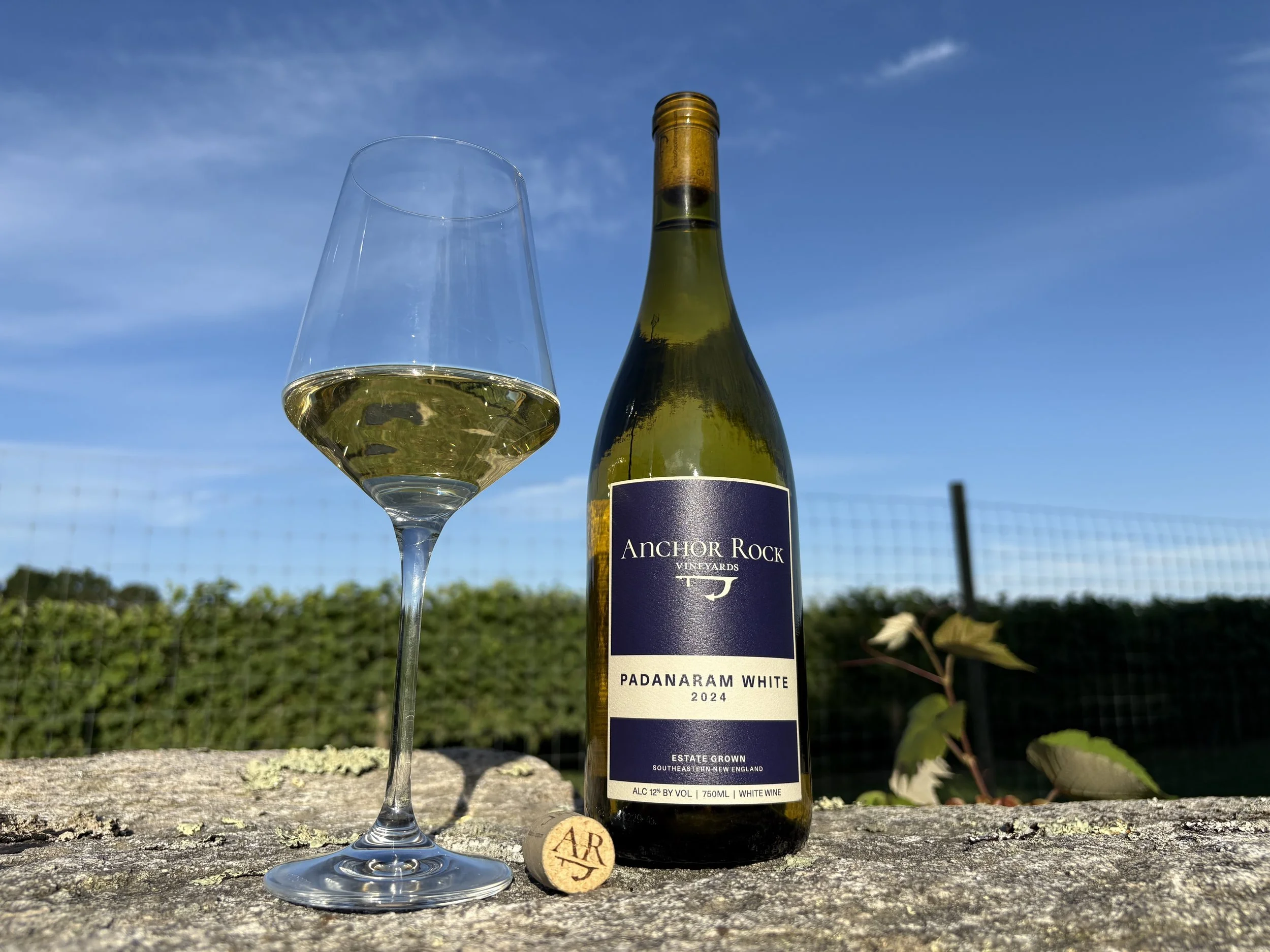 A glass of white wine and a bottle of Anchor Rock Padanaram White 2024 wine from Southeast New England, placed outdoors on a textured surface with a vineyard and a blue sky in the background.