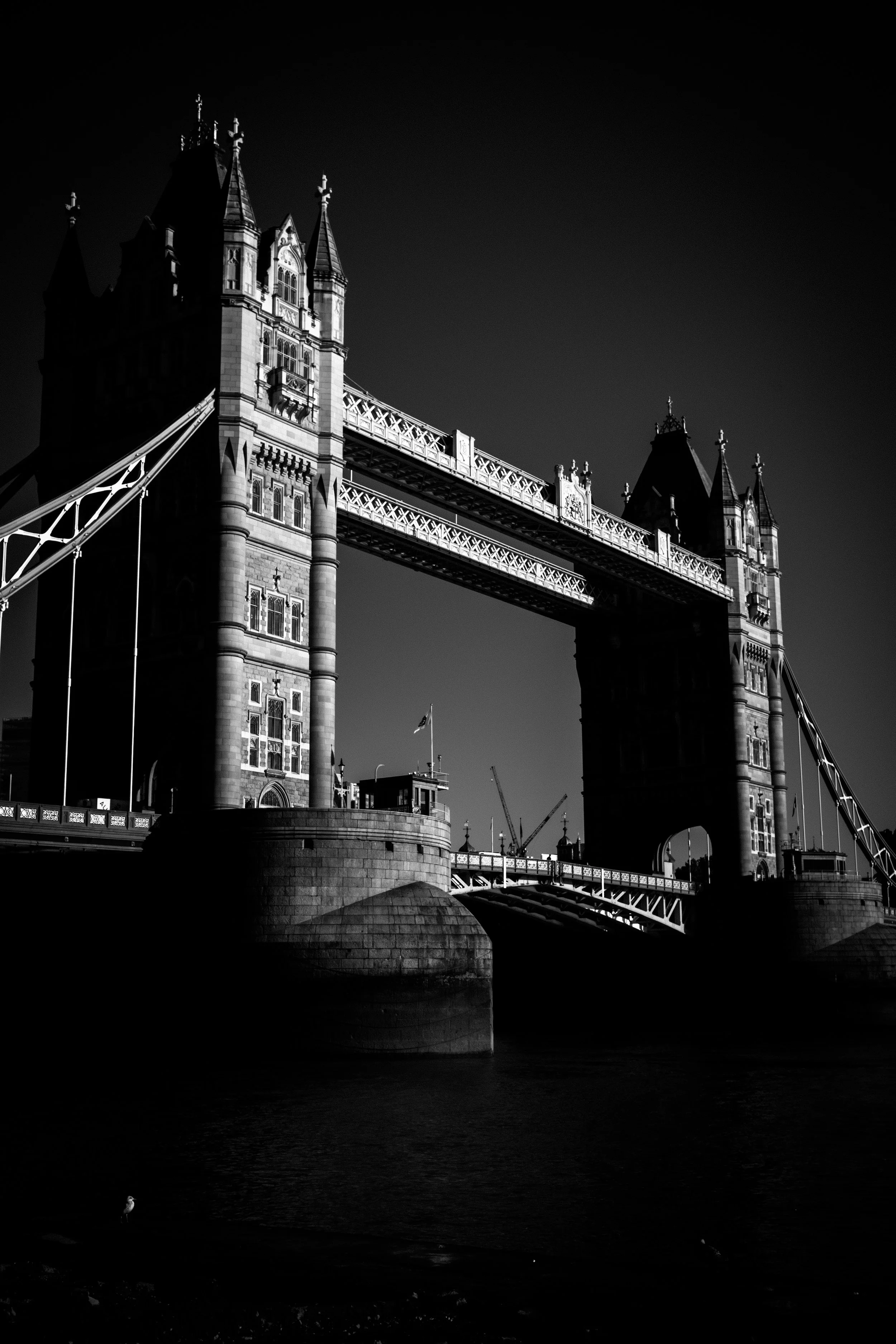IMG_4057.jpeg