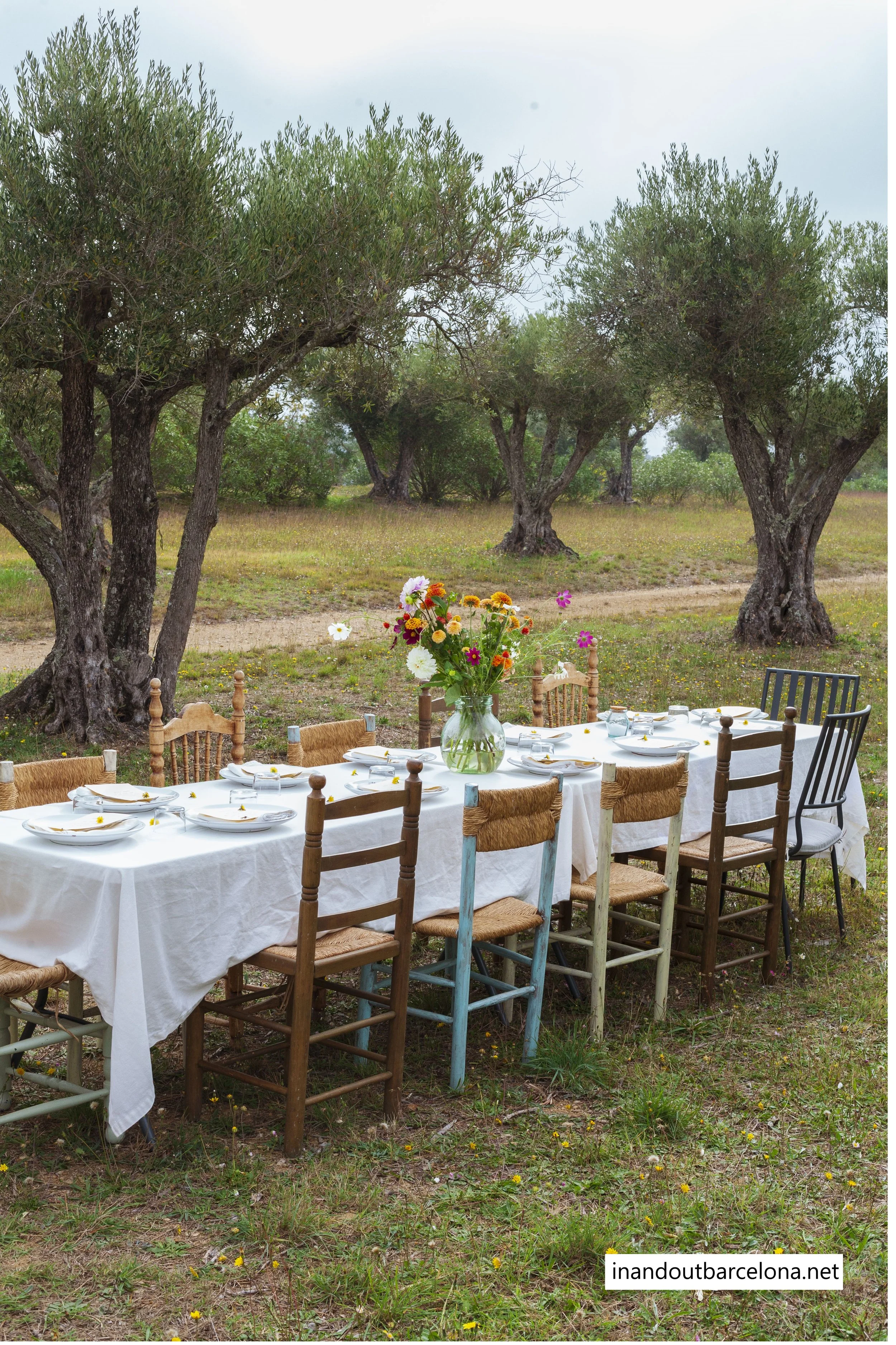 137_2 resized with tag Mediterreanean Food Journey retreat.jpg