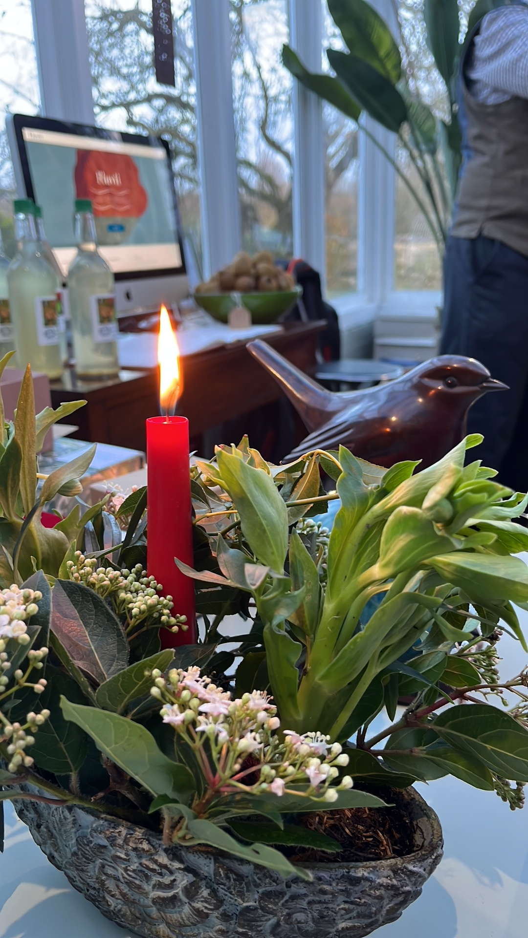 Robin C9D61234-0834-484D-B012-1485ACC5D2EA.png