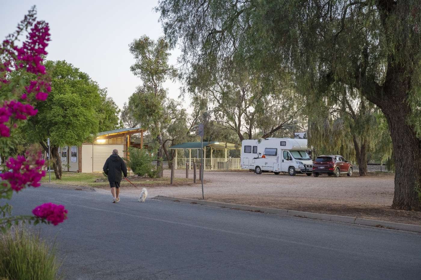 Man walking the street with a dog to the crystal brook caravan park