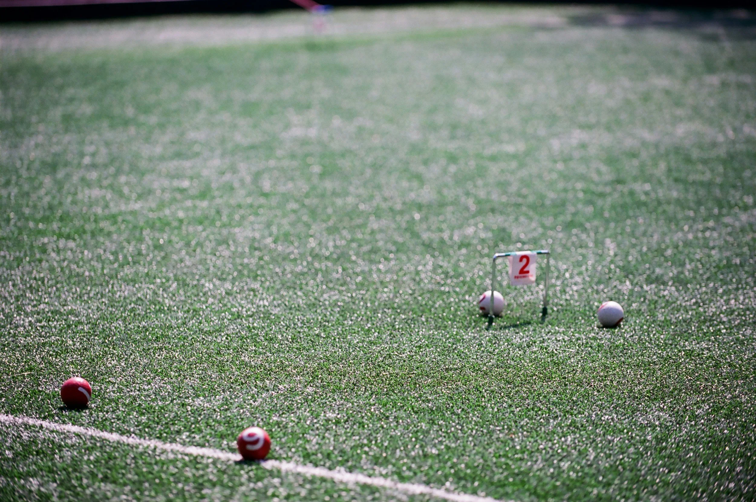 Croquet pitch