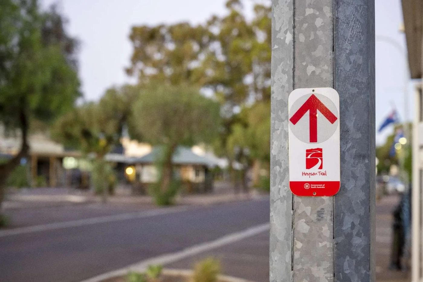 A street sign attached to a pole with a red arrow pointing upward, indicating the continuation of the trail in Harris Trail. The background shows blurred trees and buildings along the street.