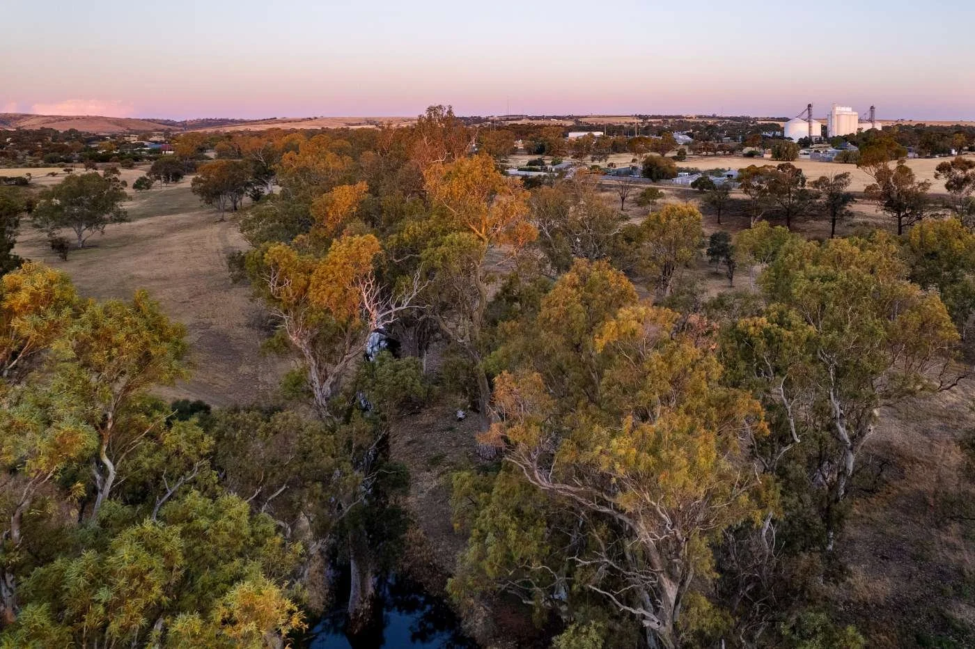 Dawn in Crystal Brook