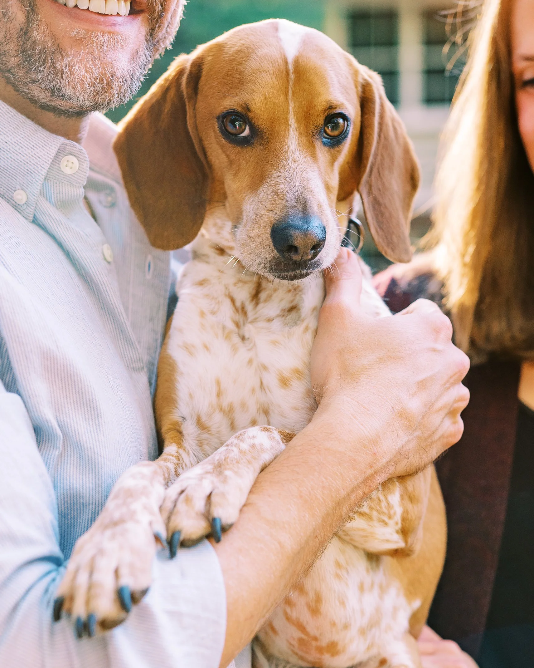Close-up of Chris cuddling one of the family's rescue dogs in Dunwoody, Georgia